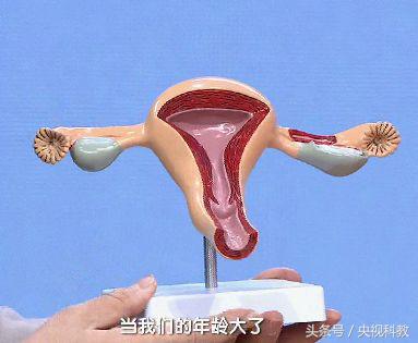 影响孕妇的外界因素,影响女人怀孕的五种疾病