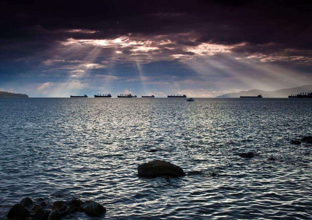 健身计划一周表男士增肌,如何制定一套健身方案