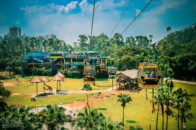 不出国门看世界完整版,不出国门就能看遍五大洲珍奇动物