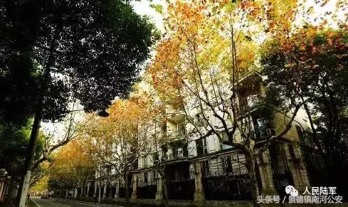 名人笔下的秋天散文,名家笔下的秋天摘抄