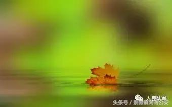 名人笔下的秋天散文,名家笔下的秋天摘抄