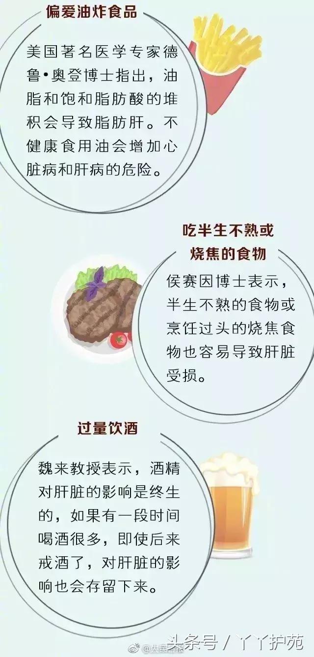 养肝等于养命肝净人美,养肝等于养命保护你的肝脏