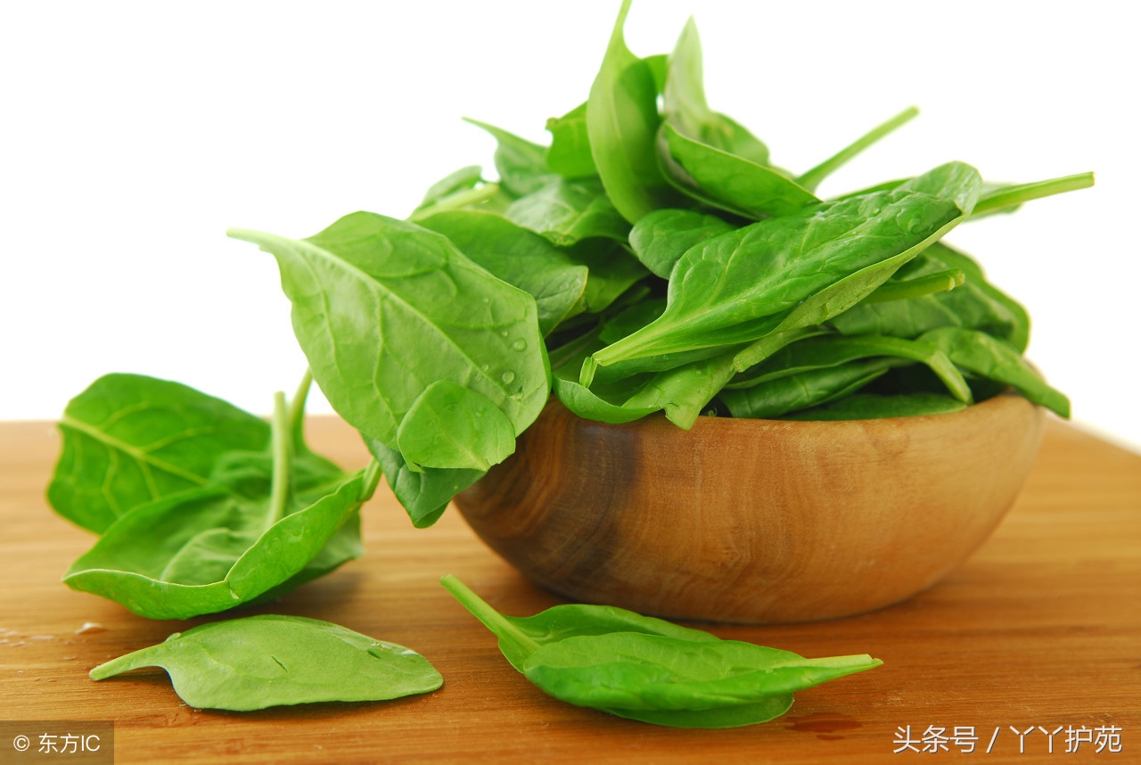 养肝等于养命肝净人美,养肝等于养命保护你的肝脏