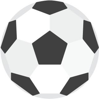 大连足球俱乐部王健林,王健林来一汽奔腾