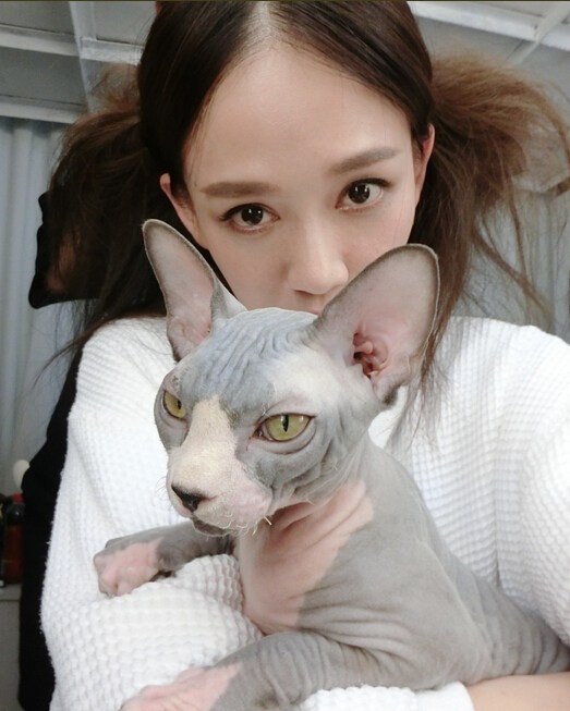 猫咪全身照片,猫咪身体各种形状图片