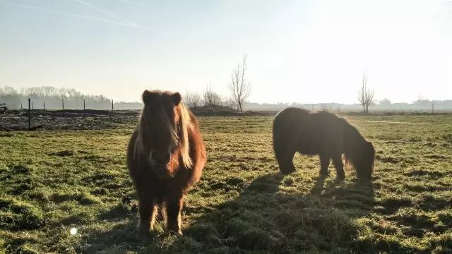 自由公路历险记,自由公路之旅第一季