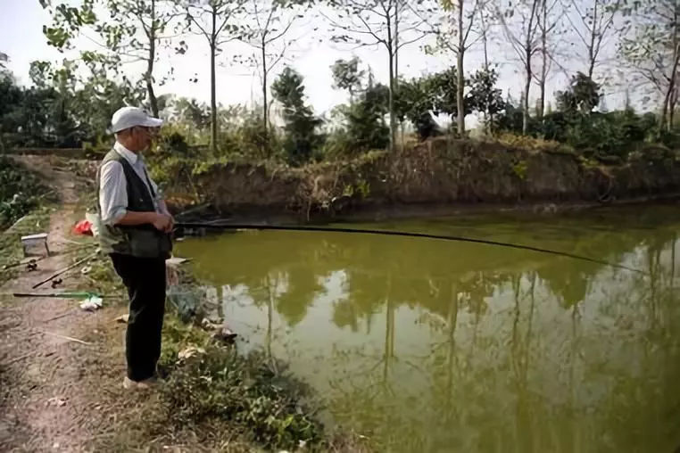 塘里钓鱼小鱼太多怎么办,水库小杂鱼多怎么避开