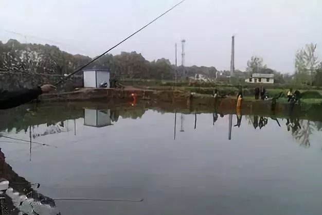 塘里钓鱼小鱼太多怎么办,水库小杂鱼多怎么避开