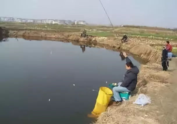 塘里钓鱼小鱼太多怎么办,水库小杂鱼多怎么避开