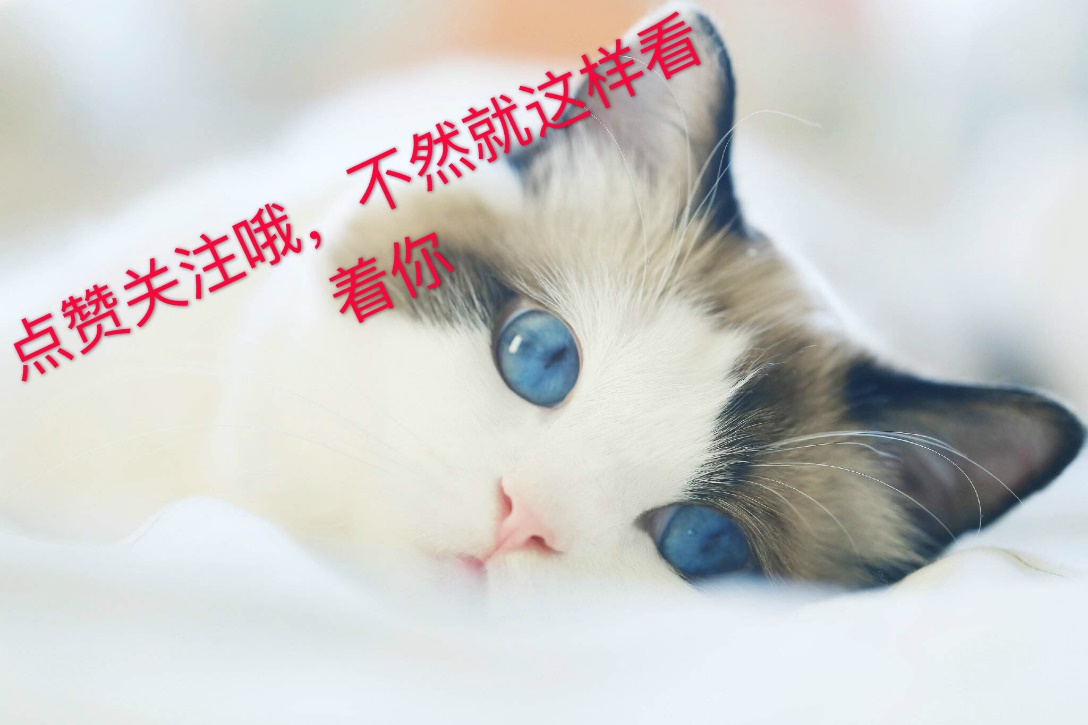 萝莉控看过来，关于萝莉的十部电影，不止可爱萌，还有暗黑系萝莉