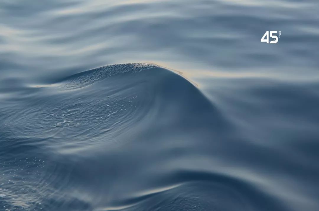 成功不可以复制！数字货币基金回报率近一年跌了3400%