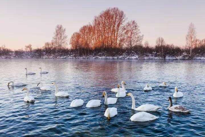 北海道飞日本旅游攻略,北海道到中国直飞