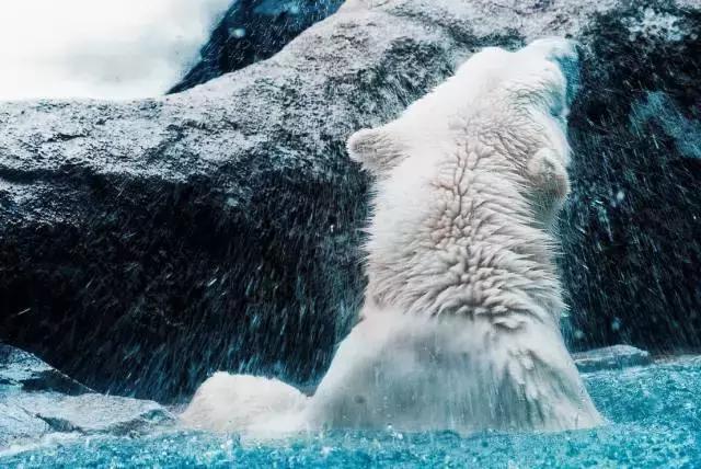 北海道飞日本旅游攻略,北海道到中国直飞