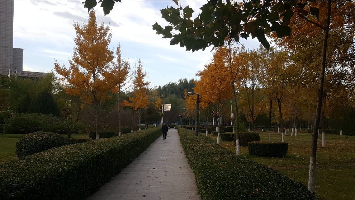 华为mate20pro现在还能买吗,华为mate20pro还可以入手吗