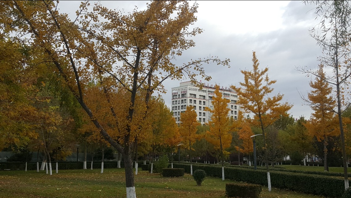 华为mate20pro现在还能买吗,华为mate20pro还可以入手吗