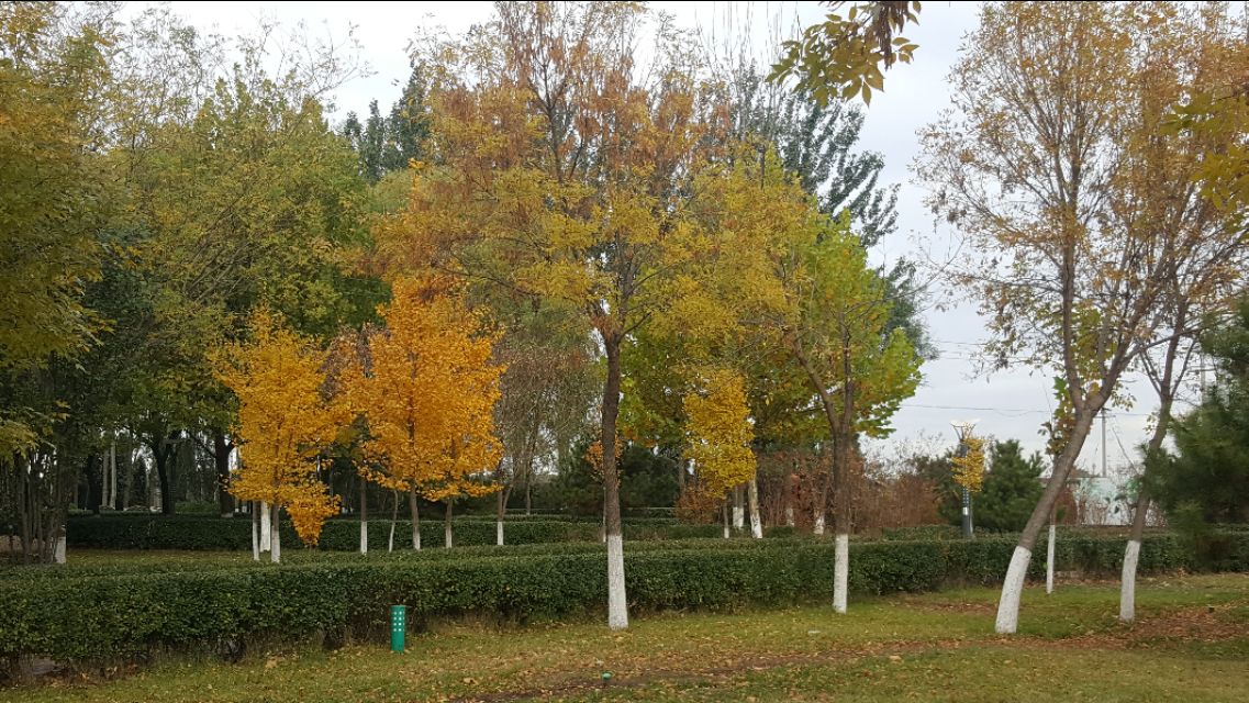 华为mate20pro现在还能买吗,华为mate20pro还可以入手吗