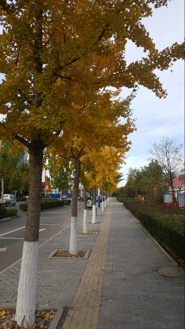 华为mate20pro现在还能买吗,华为mate20pro还可以入手吗