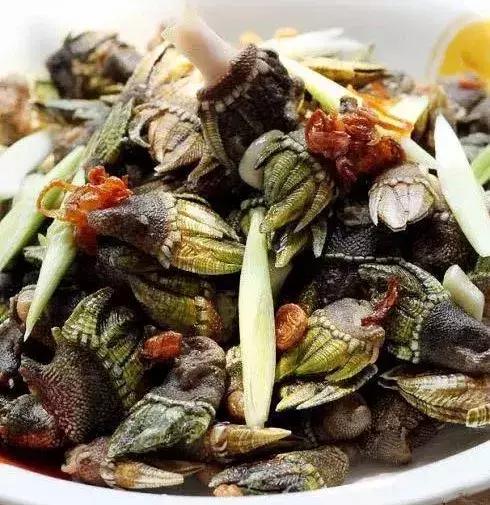 魏晋九州|吃龟脚、喝柳浆、黑牙齿的交州人