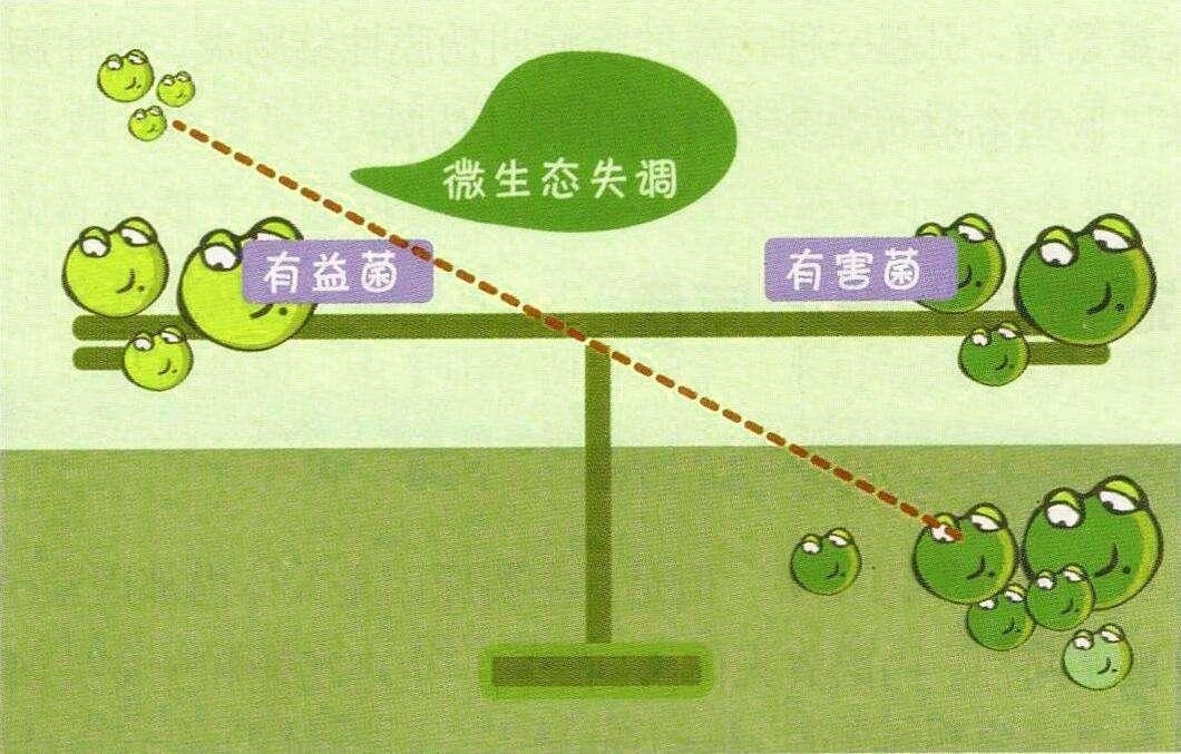 经常放屁是肠胃哪个地方出问题,经常放屁吃什么药能调节肠胃