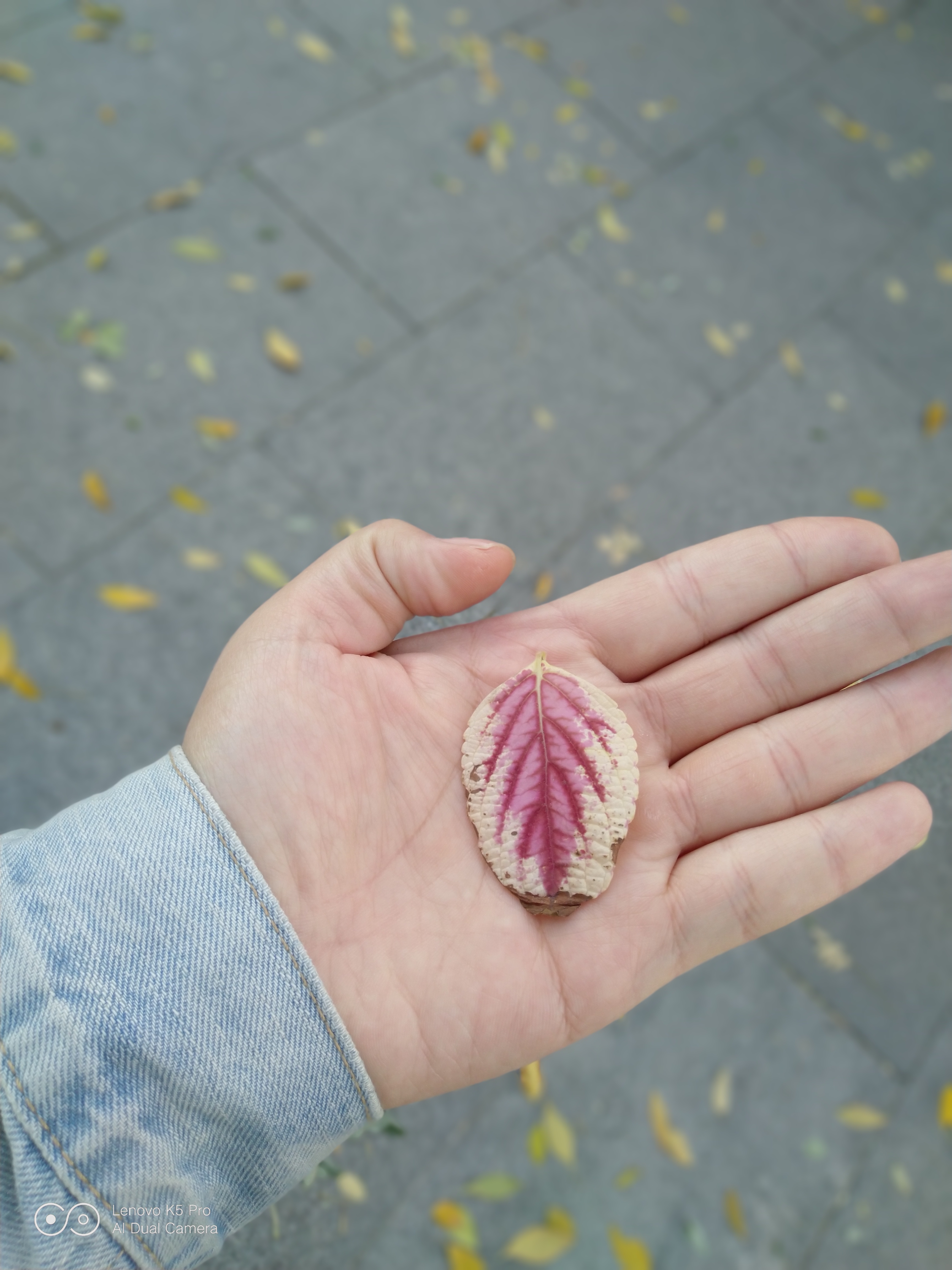 联想k5pro评测上手,联想k5pro优缺点及建议