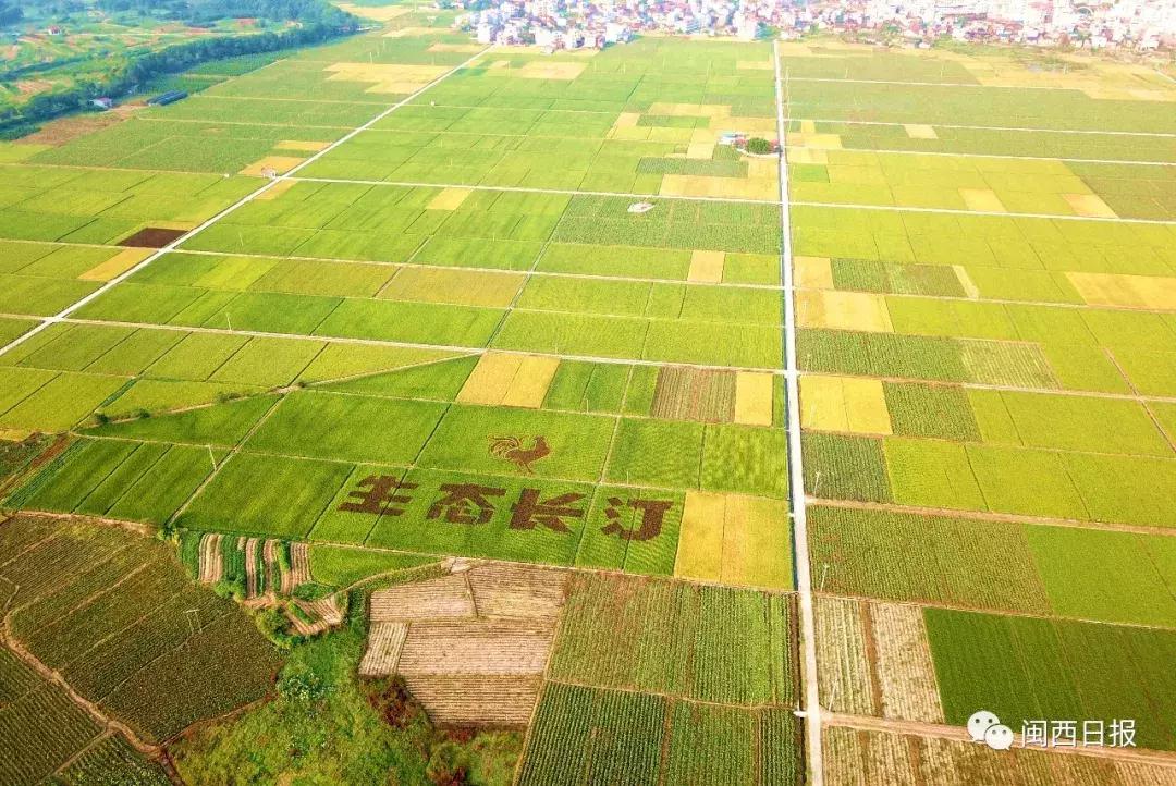 生态长汀,生态福建长汀