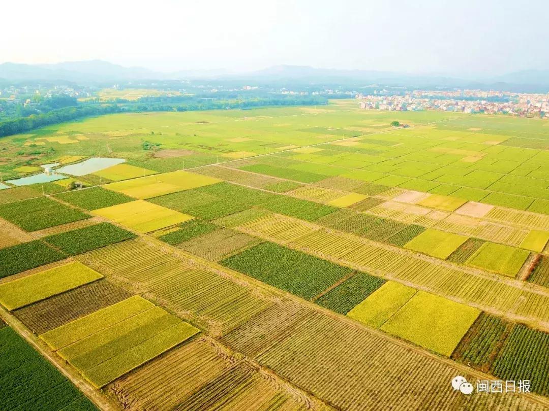 生态长汀,生态福建长汀
