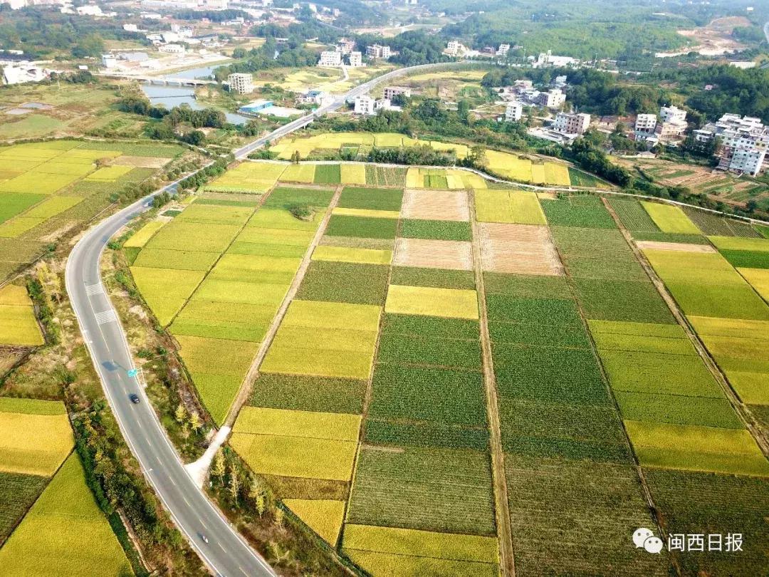 生态长汀,生态福建长汀