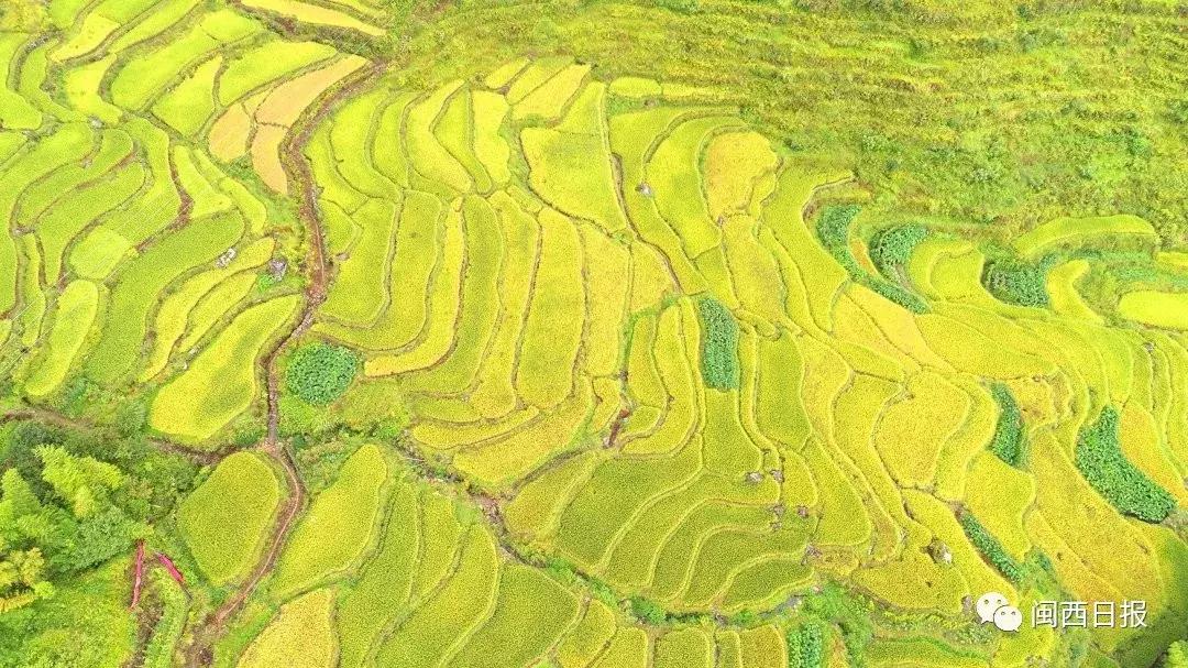 生态长汀,生态福建长汀