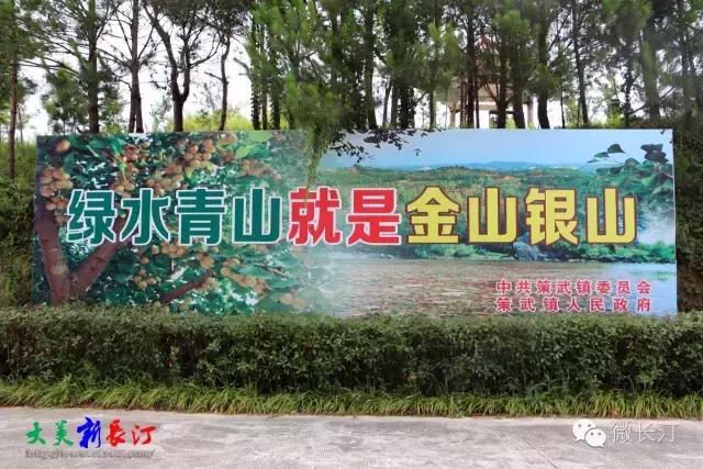 生态长汀,生态福建长汀