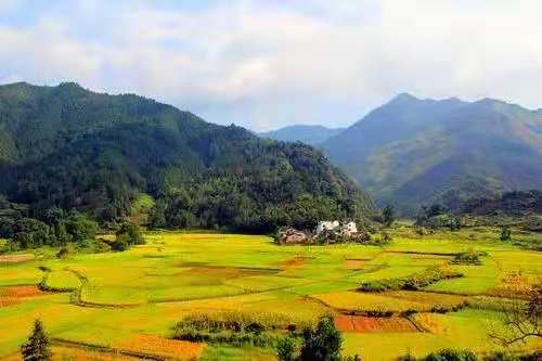 休宁县高铁规划图,休宁开通城乡公交