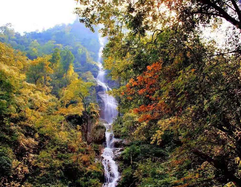 休宁县高铁规划图,休宁开通城乡公交