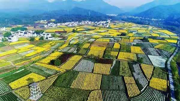 休宁县高铁规划图,休宁开通城乡公交