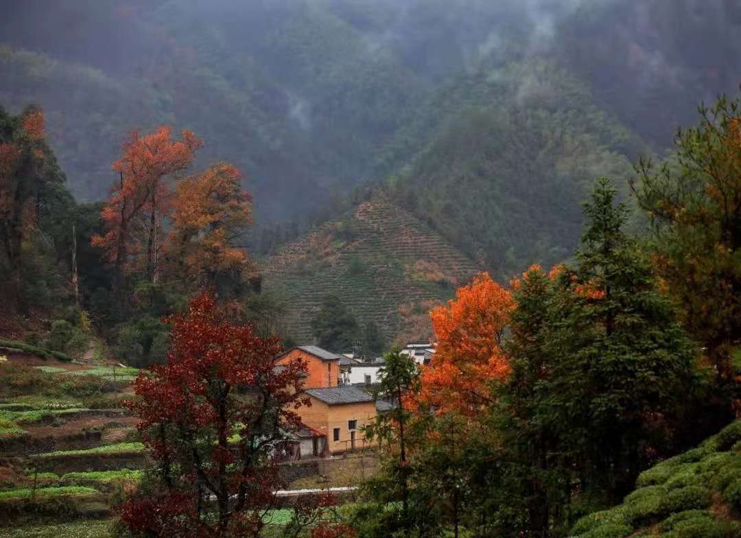 休宁县高铁规划图,休宁开通城乡公交