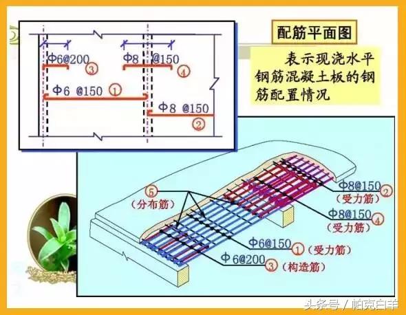 配筋图识图口诀,9张图教你看懂户型图