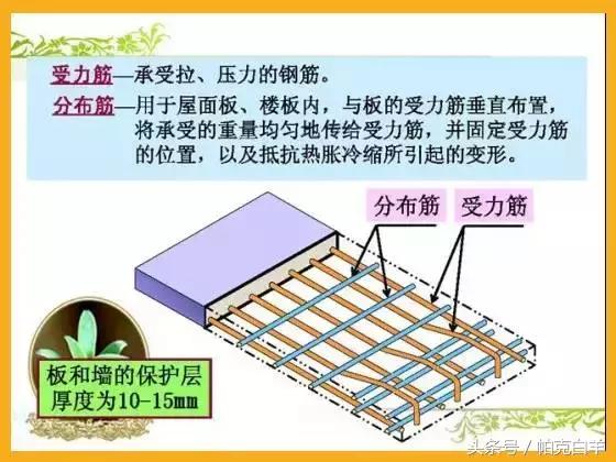 配筋图识图口诀,9张图教你看懂户型图