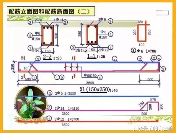 配筋图识图口诀,9张图教你看懂户型图