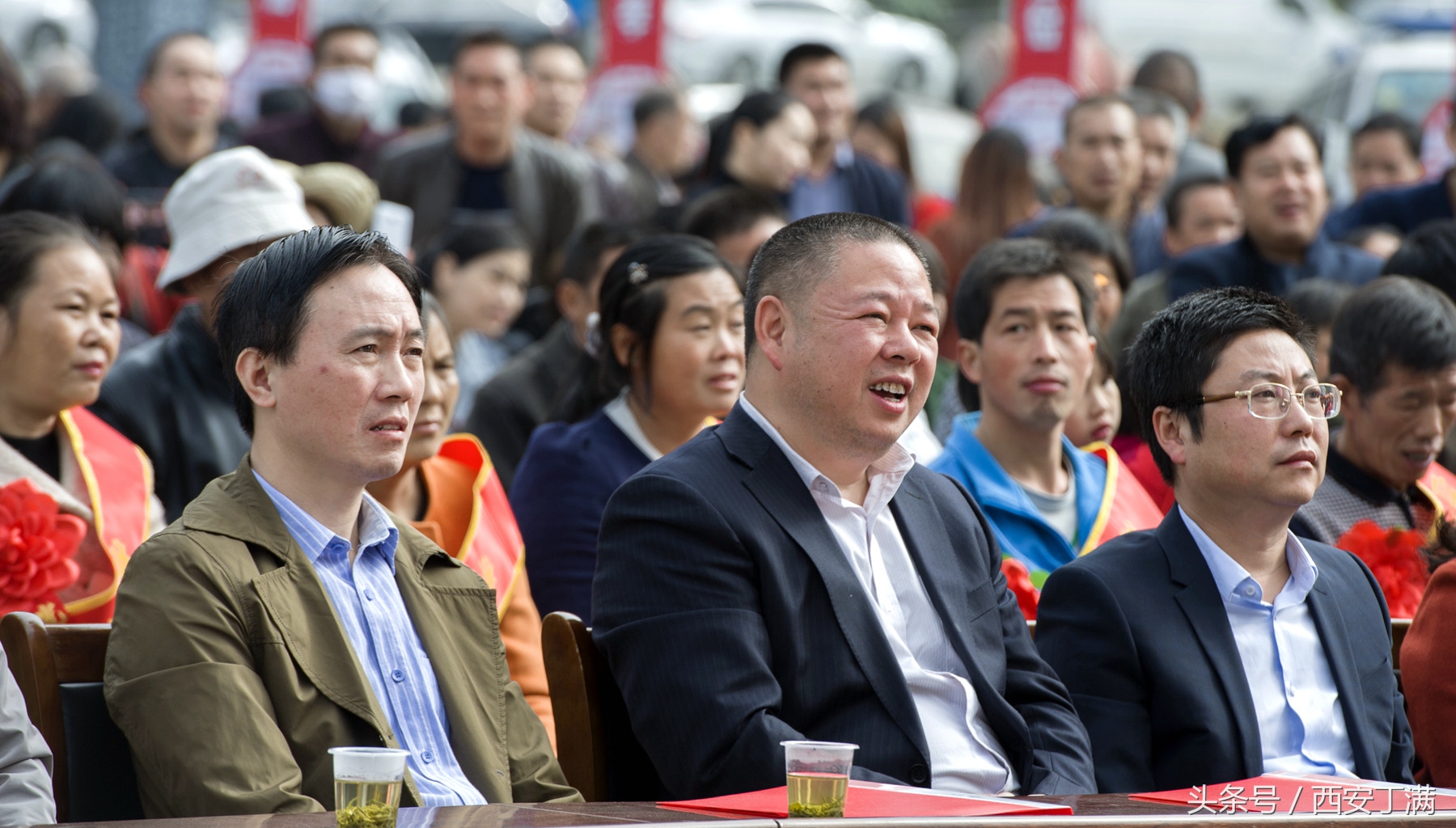 白河东坡千年银杏,白河县构扒镇千年银杏