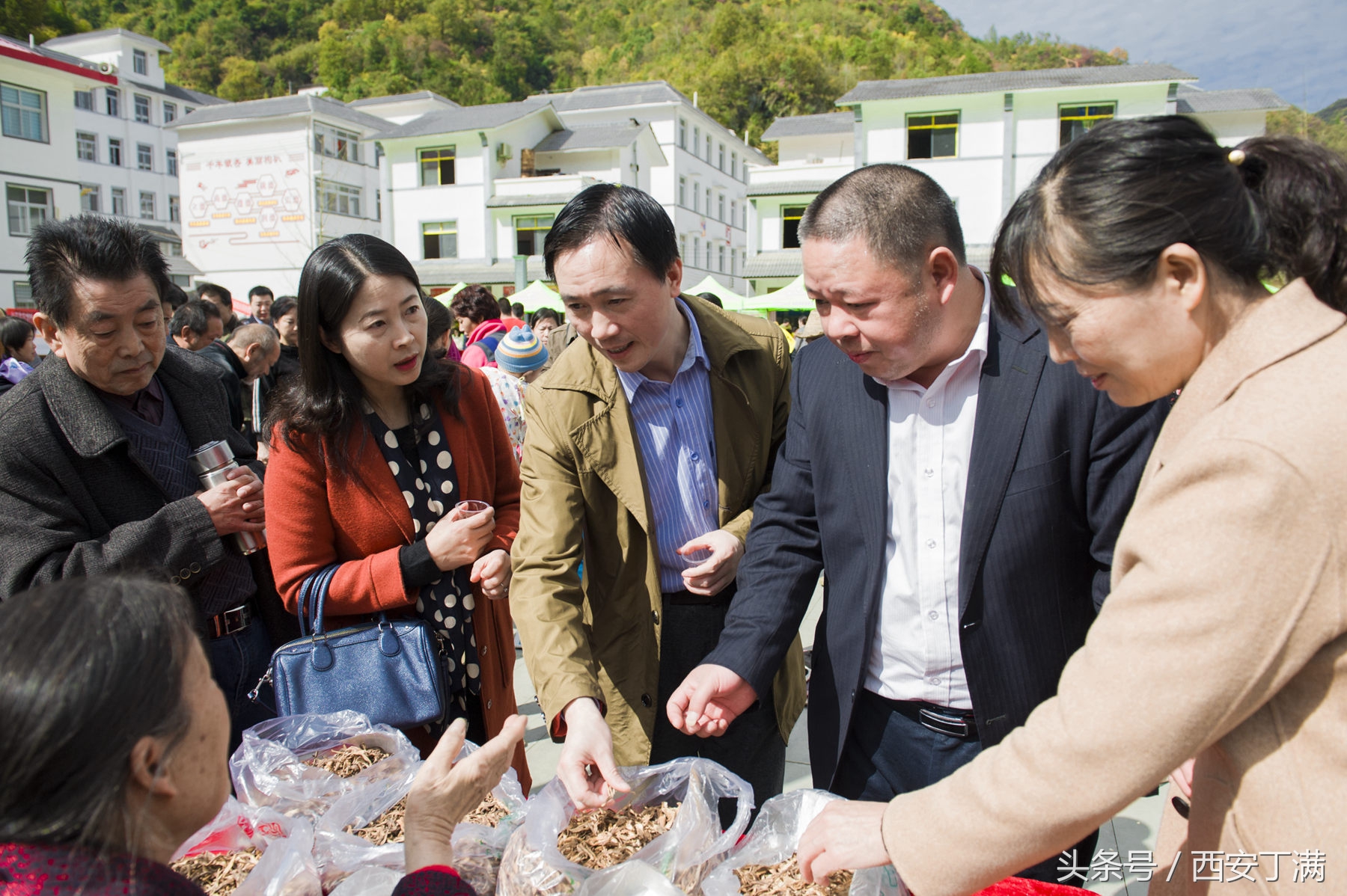 白河东坡千年银杏,白河县构扒镇千年银杏