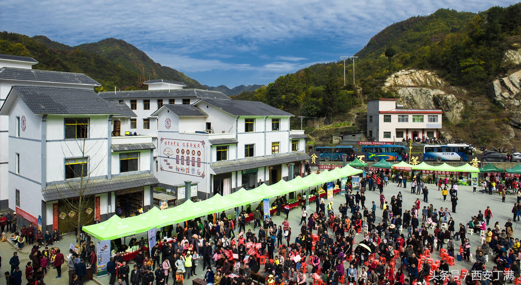 白河东坡千年银杏,白河县构扒镇千年银杏