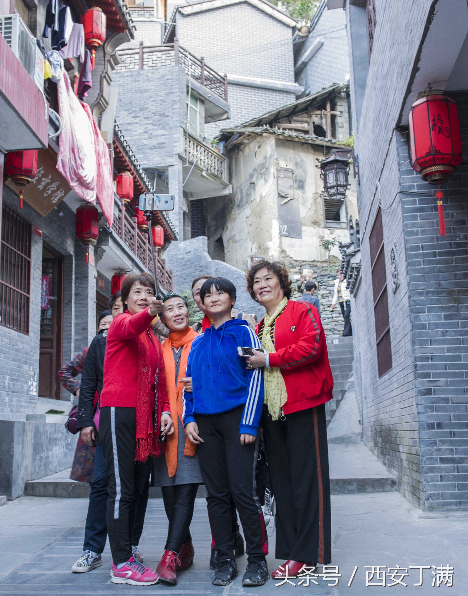 白河东坡千年银杏,白河县构扒镇千年银杏