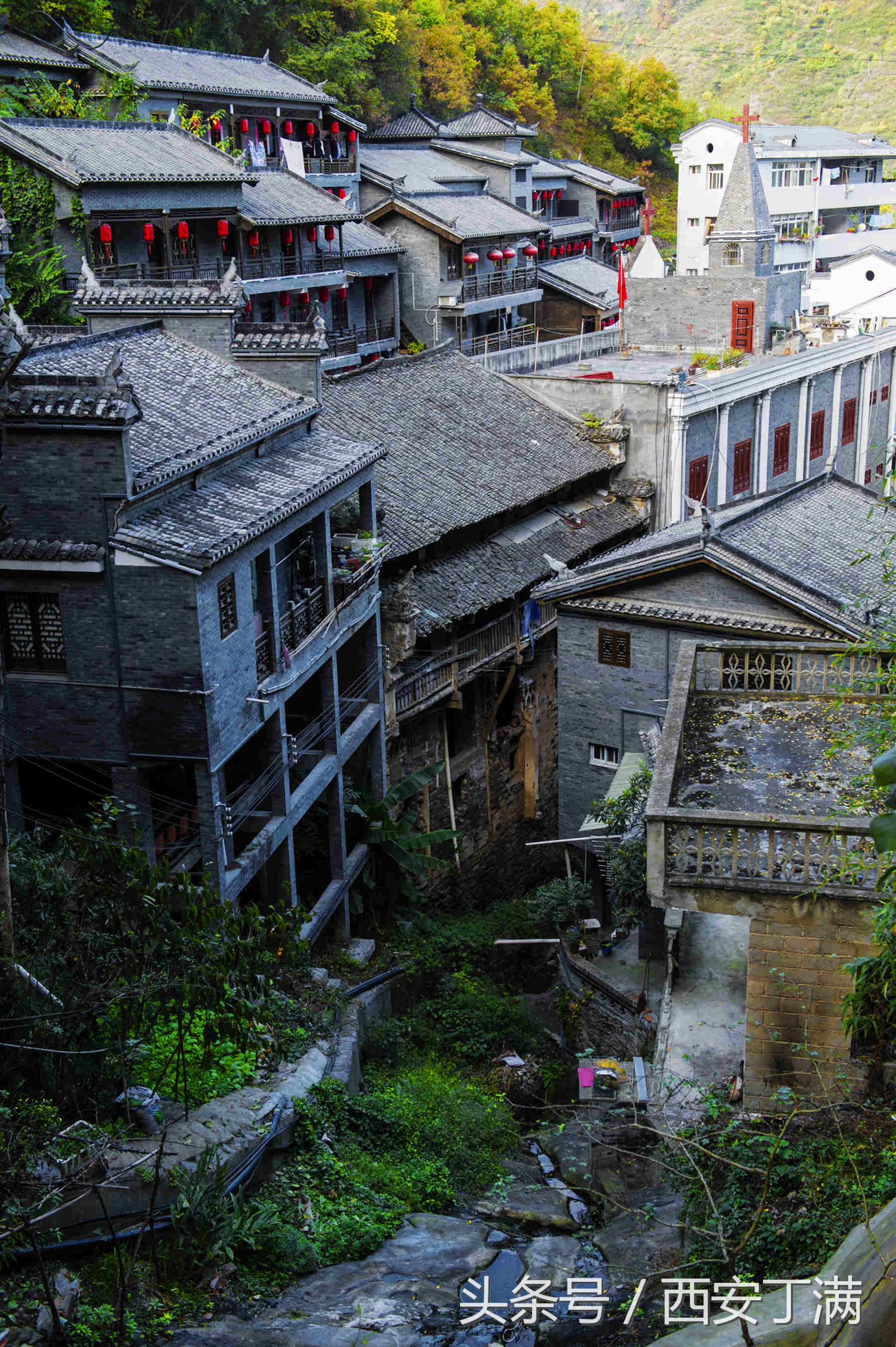 白河东坡千年银杏,白河县构扒镇千年银杏