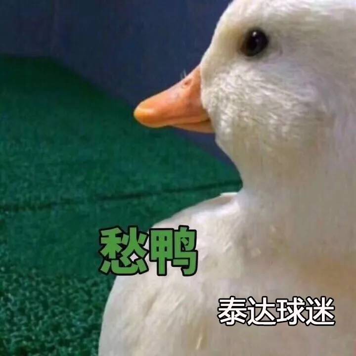 泰达门将,守门员扑救绝望瞬间