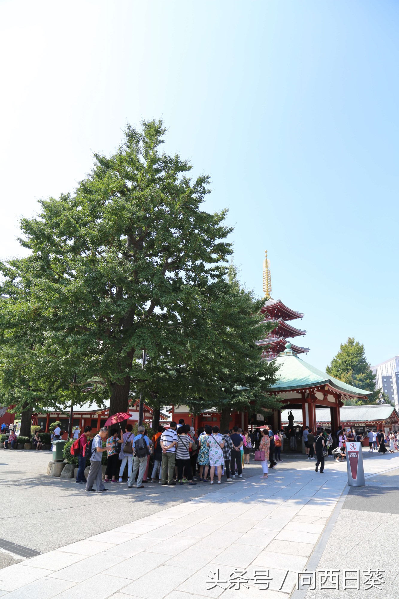 日本警察执法被骂,中国警察教训日本游客