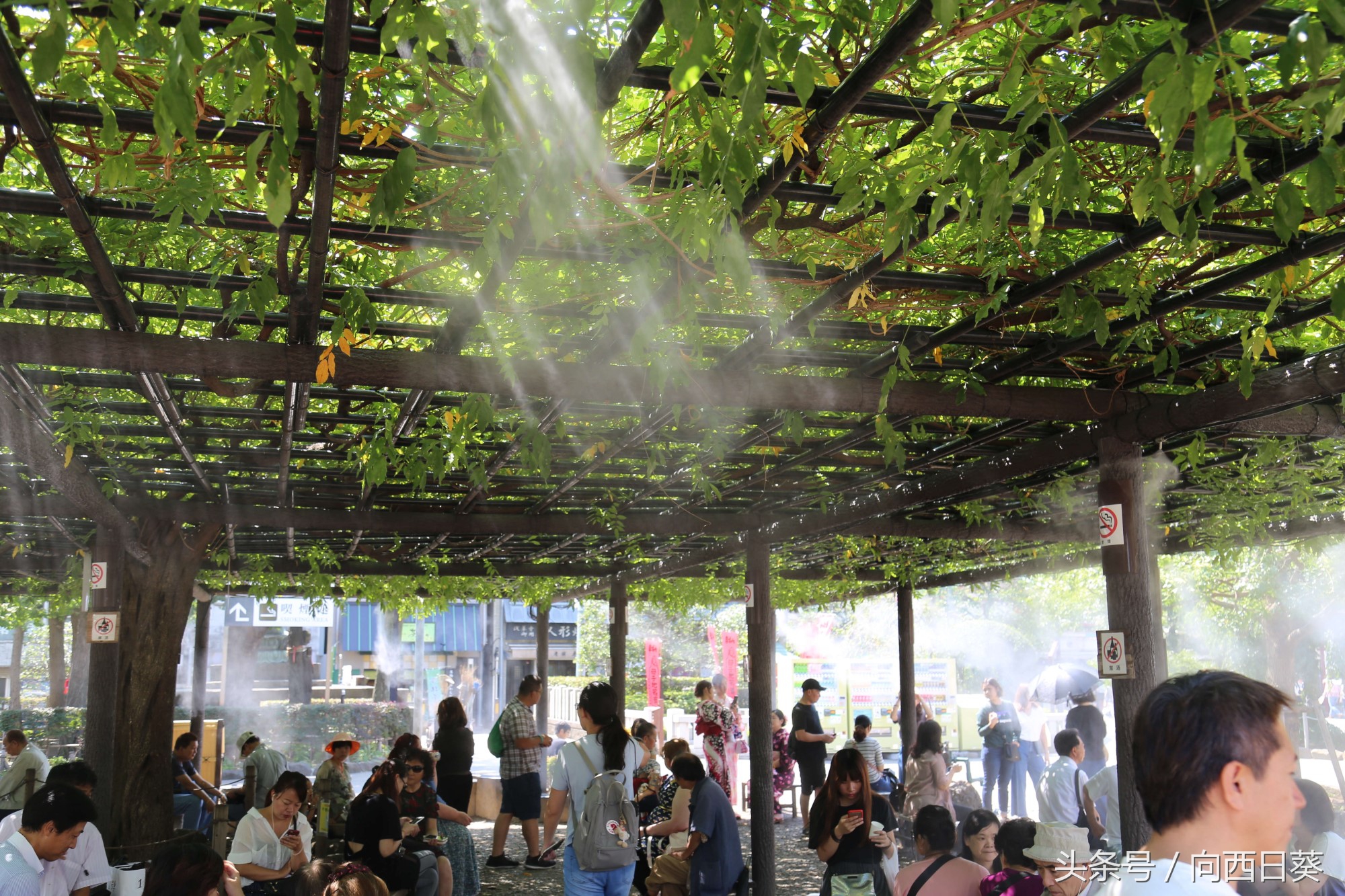 日本警察执法被骂,中国警察教训日本游客