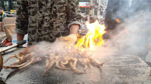 吃了铁板鱿鱼,吃家常铁板鱿鱼