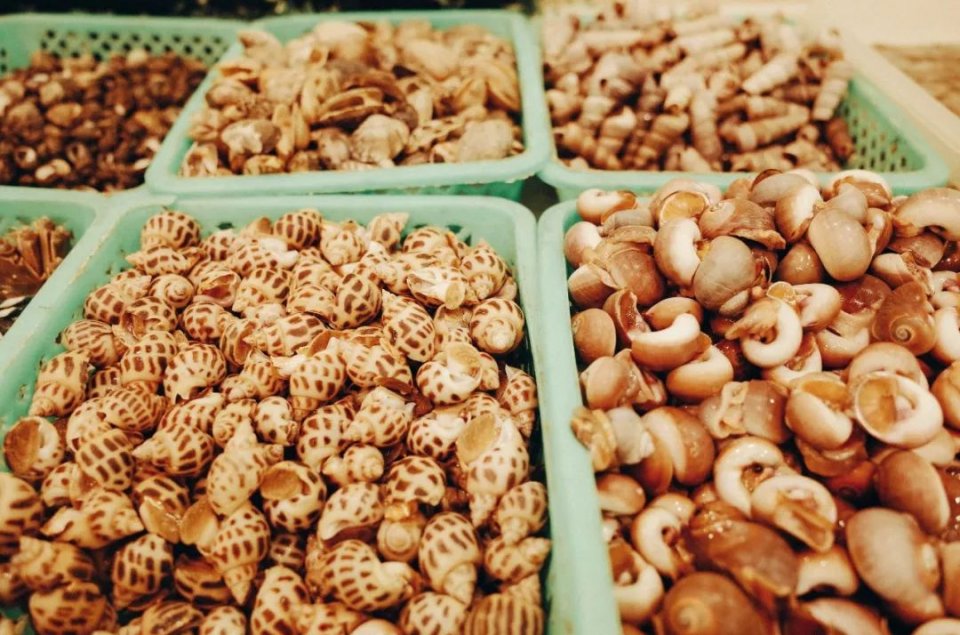 宁波美食节发展历史,宁波申遗