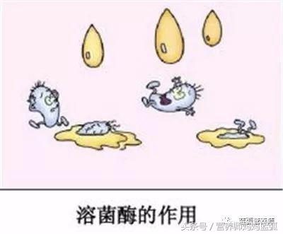 抵抗力差经常咳嗽吃什么好,感冒咳嗽饮食食谱医生建议