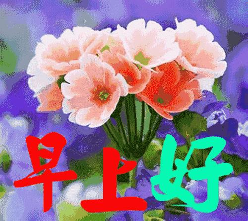 大家早上好动态表情包带字最新版,早上好今天又是美好的一天表情包