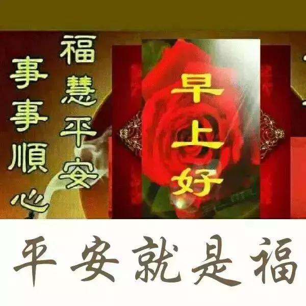 大家早上好动态表情包带字最新版,早上好今天又是美好的一天表情包