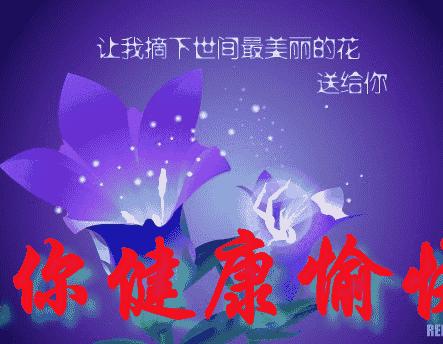 大家早上好动态表情包带字最新版,早上好今天又是美好的一天表情包